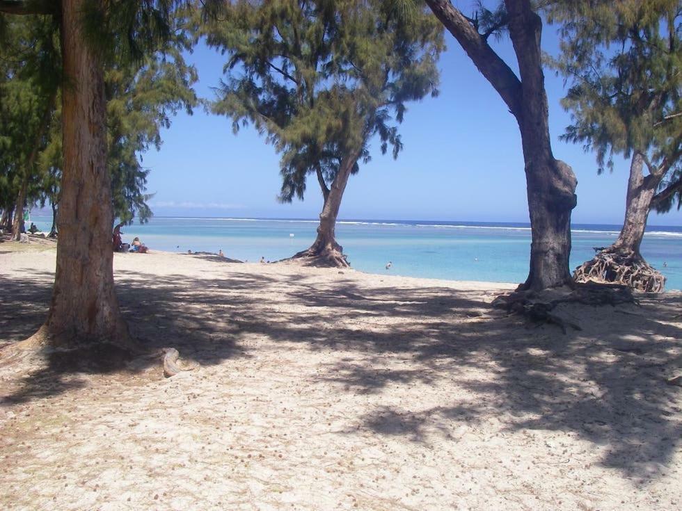 לה סאלין לה ביינס Le Saint Geran - A 3Mn A Pied De La Plage Et De Tous Commerces מראה חיצוני תמונה
